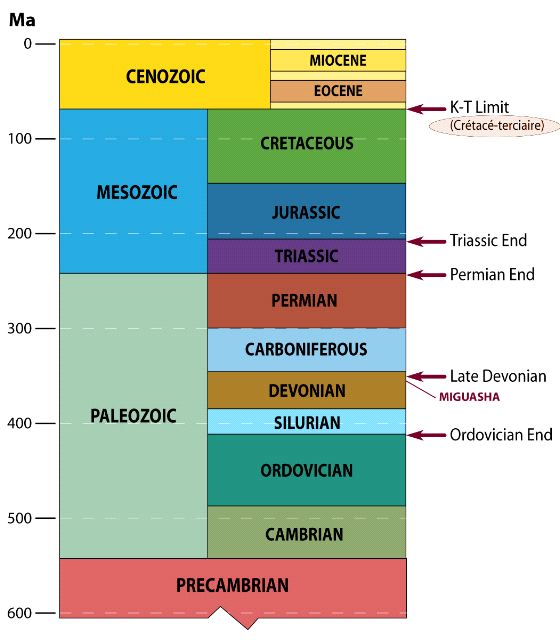 Massive extinctions