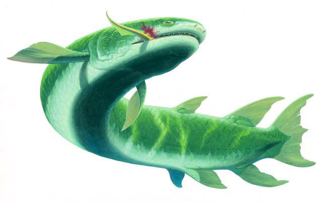 Reconstruction of Eusthenopteron foordi