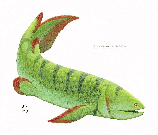 Reconstruction of the porolepiform Holoptychius jarviki