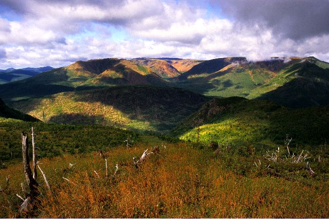 Mount Ernest Laforce