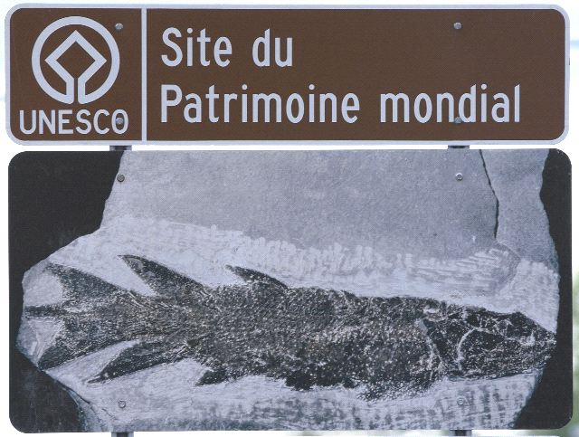 Signalisation routière du parc 